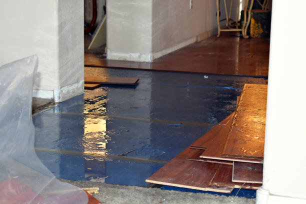 Professional Burst Pipe Cleanup technician working in Caro, MI